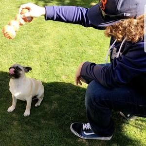 Meet your Posher, Steven